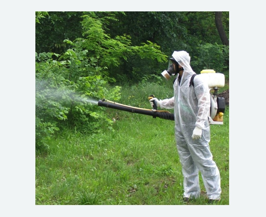 обработка территории от клещей в Богдановиче