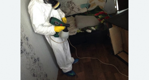 Обработка квартир от насекомых в Богдановиче