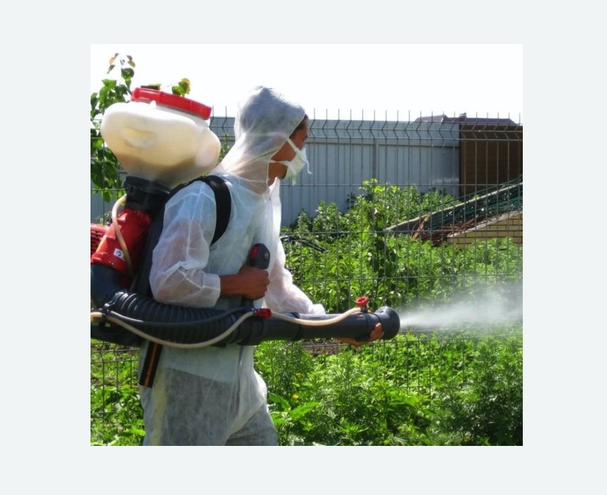 Акарицидная обработка территории в Богдановиче