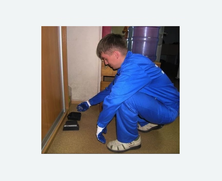 Дератизация крыс в Богдановиче