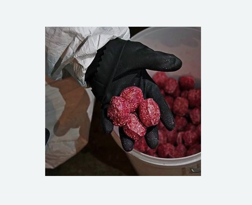 Обработка от крыс в Богдановиче