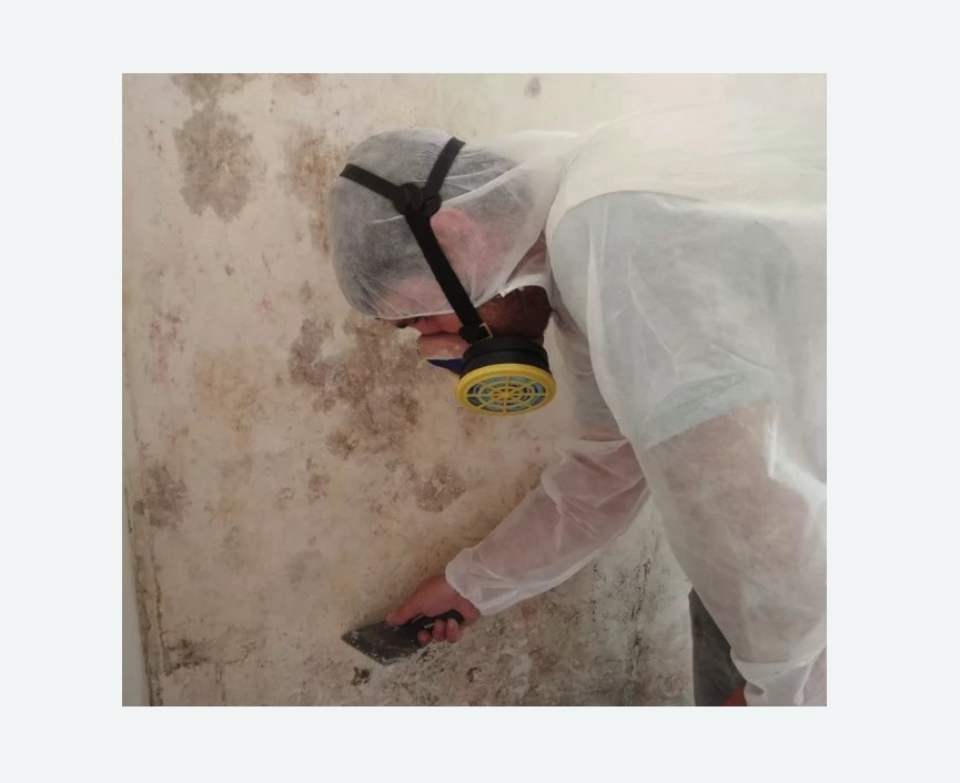 Обработка стен от плесени в Богдановиче