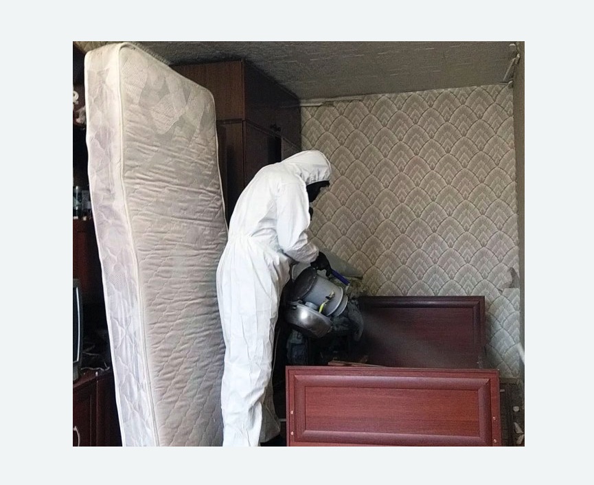 дезинфекция от клопов в Богдановиче