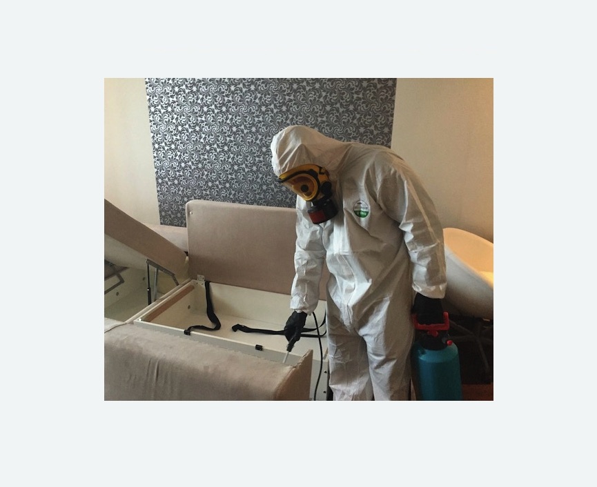 уничтожение клопов в квартире в Богдановиче