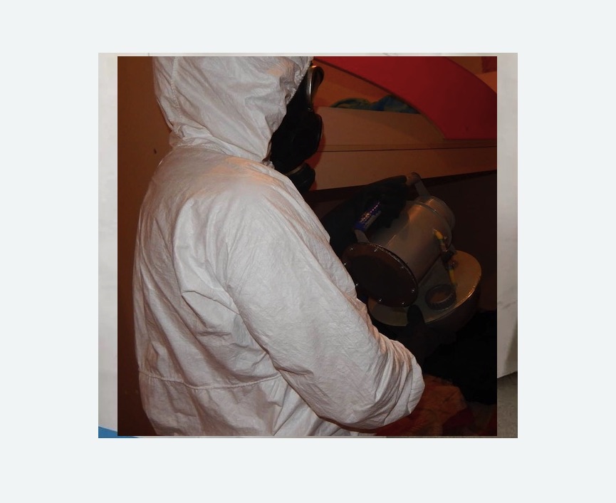 Дезинфекция от муравьев в Богдановиче