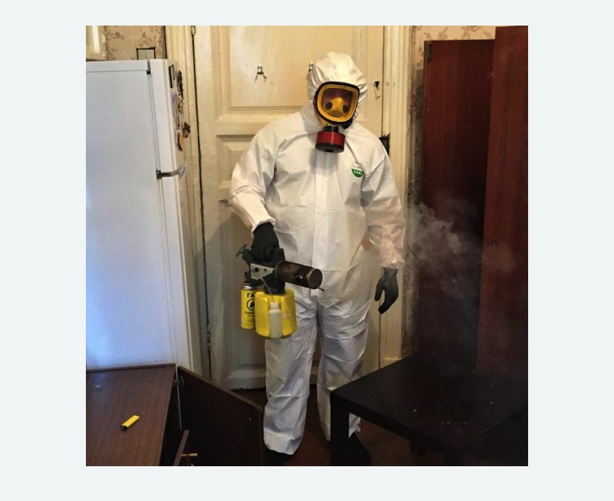 уничтожение муравьев в квартире в Богдановиче